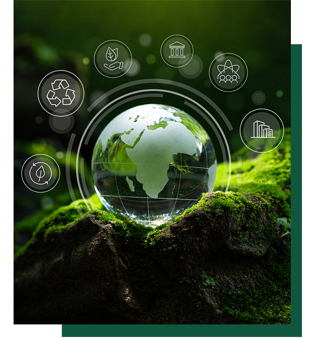 impact-green-comp-course