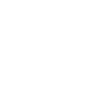 rocket icon